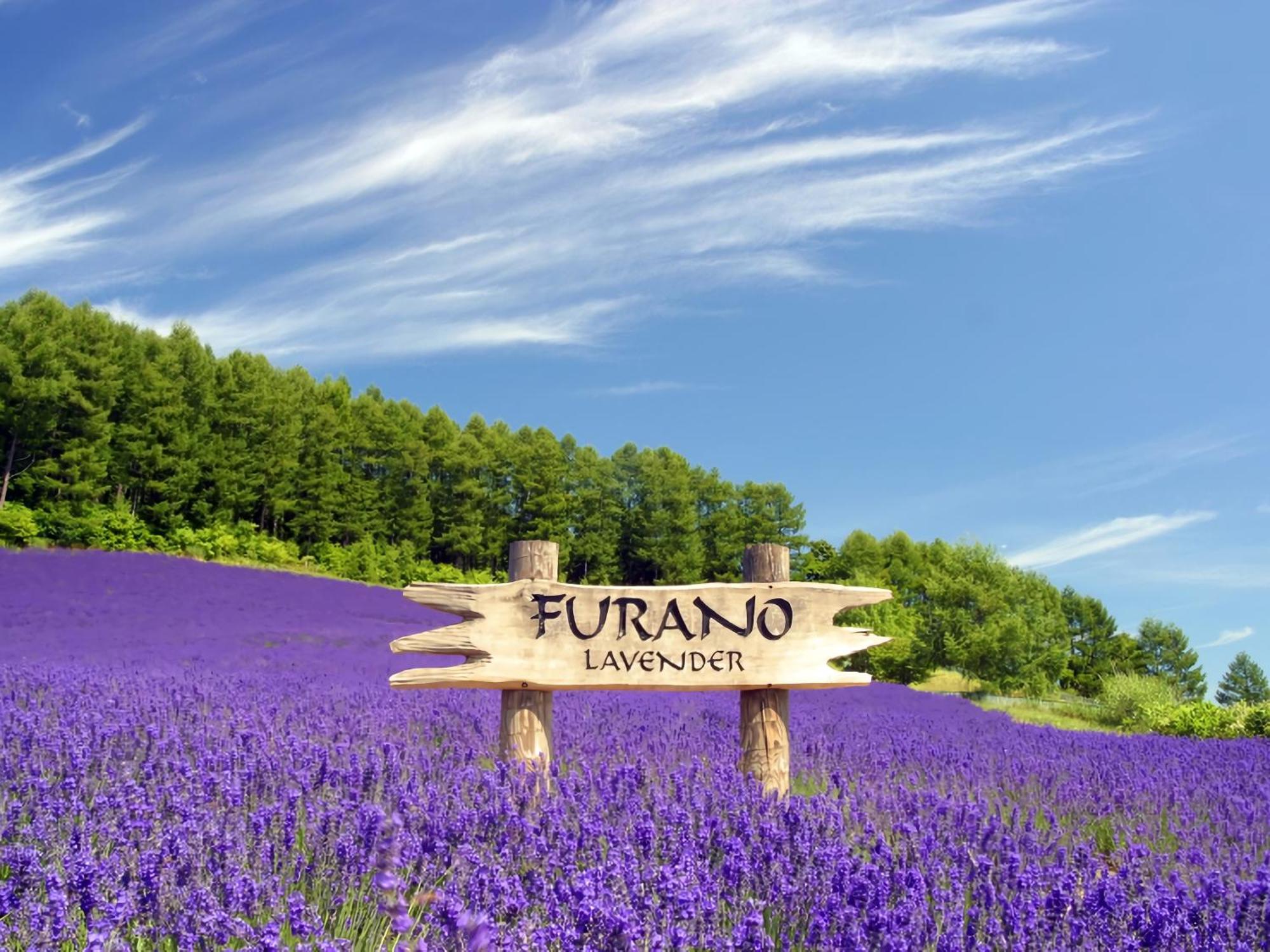 Hotel Naturwald Nakafurano Buitenkant foto